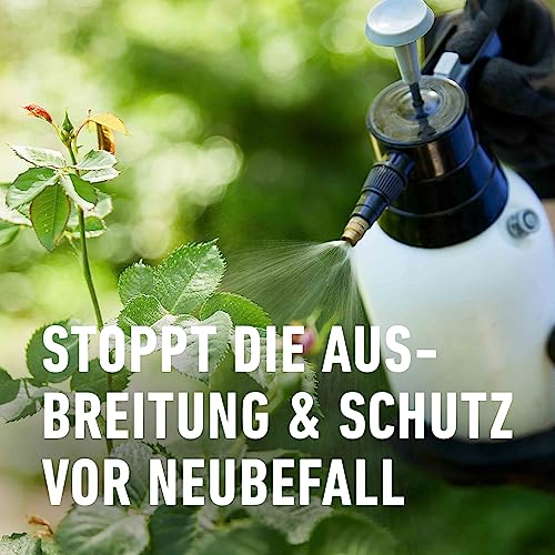 Compo Duaxo Universal Pilz-frei AF, Bekämpfung von Pilzkrankheiten an Zierpflanzen, Gemüse und Kräutern, Anwendungsfertig, 750 ml