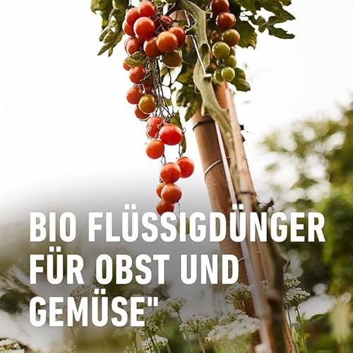 COMPO BIO Obst- und Gemüsedünger – für alle Obst- und Gemüsesorten – natürlicher Spezial-Flüssigdünger – 1 Liter