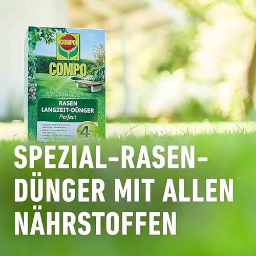COMPO Rasendünger mit Langzeitwirkung - Keine Chance für Moos und Unkraut – 1,5 kg für 60 m² - COMPO Rasen Langzeit-Dünger Perfect