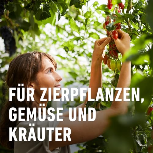 COMPO Schädlings-frei plus AF - Spray gegen Blattläuse, Schildläuse, Wollläuse, Buchsbaumzünsler & Co. - für Zierpflanzen und Kernobst - 500 ml - anwendungsfertiges Insektizid