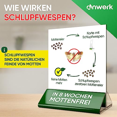 anwerk® Schlupfwespen gegen Lebensmittelmotten - 8 Karten (2 Karten à 4 Lieferungen) - Effektiv Lebensmittel Motten bekämpfen - Alternative zur Mottenfalle, Mottenspray, Pheromonfalle