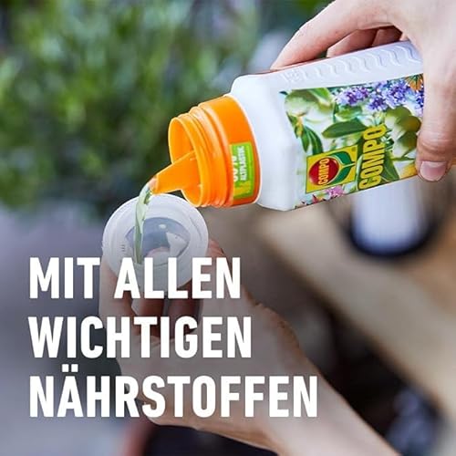 COMPO Mediterraner Pflanzendünger – Spezial-Flüssigdünger für mediterrane Pflanzen – 500 ml