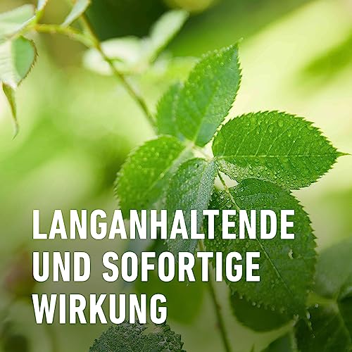 Compo Duaxo Universal Pilz-frei AF, Bekämpfung von Pilzkrankheiten an Zierpflanzen, Gemüse und Kräutern, Anwendungsfertig, 750 ml