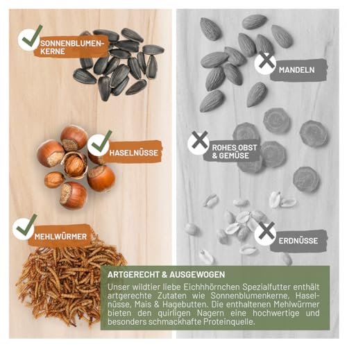 wildtier liebe Eichhörnchenfutter 2kg für Eichhörnchen & Streifenhörnchen I Ganzjahres-Futter Eichhörnchen,Streifenhörnchen Futter