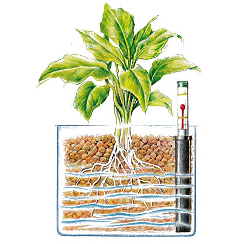 Westland Tongranulat, 5 l – Pflanzgranulat ideal für Hydrokultur, Drainage Substrat ohne chemische Zusätze, für Innen- und Außenbereich, ton