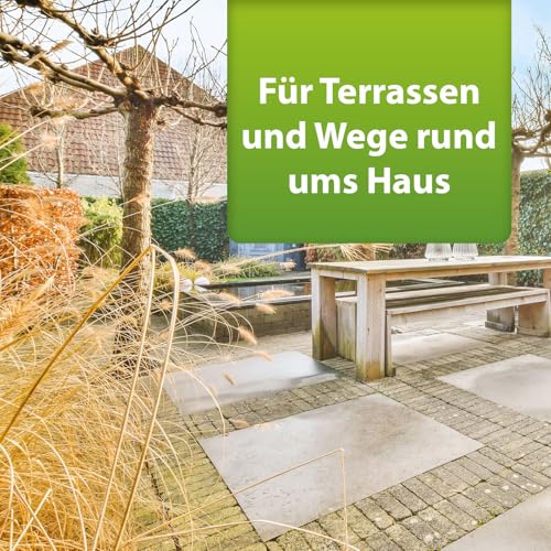 ARDAP Repell Ameisenmittel 500g - Ameisenpulver - Ameisenstreumittel - Mittel gegen Ameisen - Ameisenpulver zum Streuen draußen - Ameisenmittel für draußen - Wirkt effektiv bei akutem Befall (PT19)