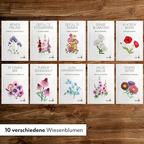Blumen Samen Set - 10 bunte Blumensamen Sorten für den Garten oder Balkon, die Bienenweide und Wildblumenwiese - Blumenwiese Samen - bunte Wildblumensamen Mischung