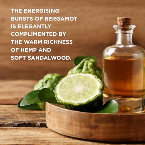 Baylis & Harding Bergamot, Hemp & Sandalwood Ultimate Wash Kit Gift Set - Vegan Friendly (Pack of 1)