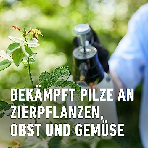 Compo Duaxo Universal Pilz-frei AF, Bekämpfung von Pilzkrankheiten an Zierpflanzen, Gemüse und Kräutern, Anwendungsfertig, 750 ml