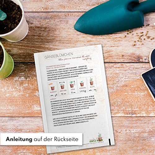 Blumen Samen Set - 10 bunte Blumensamen Sorten für den Garten oder Balkon, die Bienenweide und Wildblumenwiese - Blumenwiese Samen - bunte Wildblumensamen Mischung