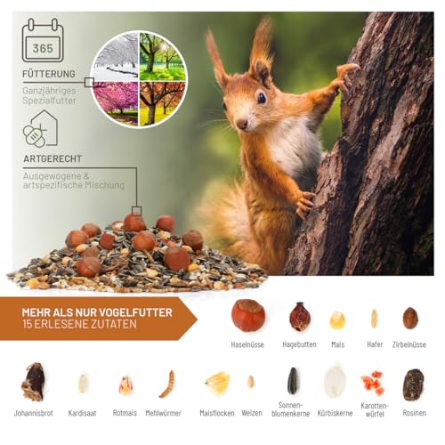 wildtier liebe Eichhörnchenfutter 2kg für Eichhörnchen & Streifenhörnchen I Ganzjahres-Futter Eichhörnchen,Streifenhörnchen Futter