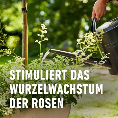 Compo Rosendünger Flüssig 1 l