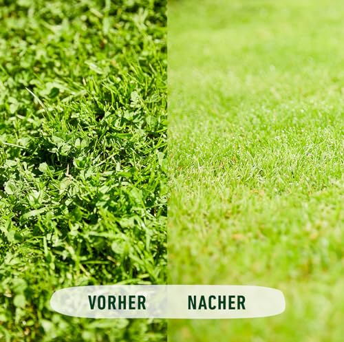 COMPO Rasenunkraut-Vernichter Banvel Quattro, Bekämpfung von schwerbekämpfbaren Unkräutern im Rasen, Konzentrat, 400 ml (400 m²)