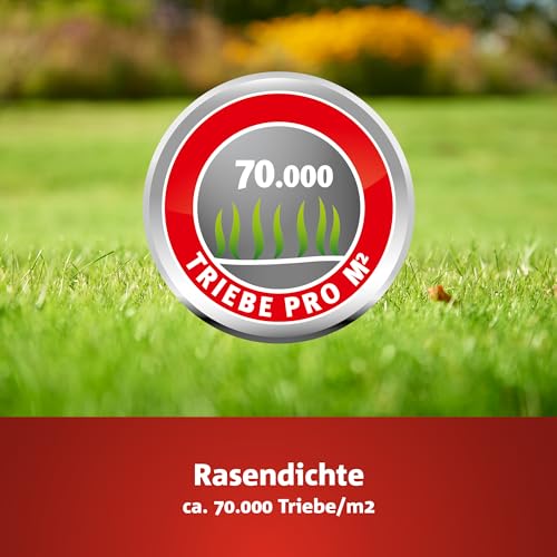 WOLF-Garten Turbo-Nachsaat zur Rasensanierung LR25 (für 25 m², hohe Dichte mit ca. 70.000 Trieben/m², für alle Rasentypen geeignet, mit WOLF-Garten Keimgarantie, 500g in Faltschachtel) 3826020