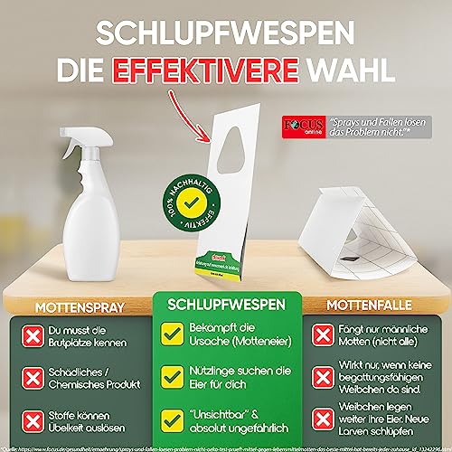 anwerk® Schlupfwespen gegen Lebensmittelmotten - 8 Karten (2 Karten à 4 Lieferungen) - Effektiv Lebensmittel Motten bekämpfen - Alternative zur Mottenfalle, Mottenspray, Pheromonfalle