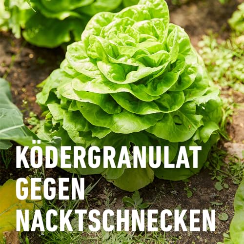 COMPO Schnecken-frei - Schneckenkorn - regenfest - Streugranulat gegen Schnecken im Vorteilspack - reicht für bis zu 1800 m² - 4x225 g, Schneckenfrei