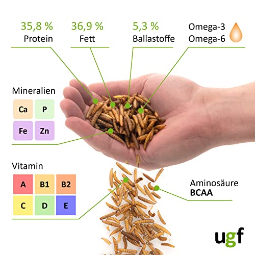 UGF - Hermetia Besser als getrocknete Mehlwürmer 3-Liter ≈ 430g, 85-mal mehr Kalzium als lebende Mehlwürmer, BSFL Futter für Wildvögel, Schildkröten, Ratten, Igel, Hamster - Soldatenfliegenlarven