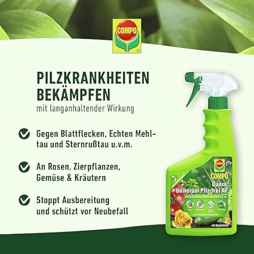 Compo Duaxo Universal Pilz-frei AF, Bekämpfung von Pilzkrankheiten an Zierpflanzen, Gemüse und Kräutern, Anwendungsfertig, 750 ml