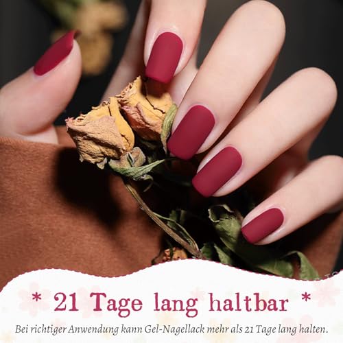 JODSONE Gel Nagellack Set mit U V Licht 36 PCS Klassisch Schwarz und Weiß Nackt und Blau Lila Gel Lack Set mit Maniküre Werkzeugen Geeignet für alle Jahreszeiten Das perfekte Geschenk