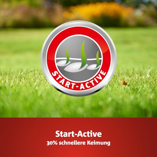 WOLF-Garten Turbo-Nachsaat zur Rasensanierung LR25 (für 25 m², hohe Dichte mit ca. 70.000 Trieben/m², für alle Rasentypen geeignet, mit WOLF-Garten Keimgarantie, 500g in Faltschachtel) 3826020