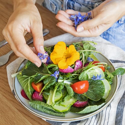 Essbare Blumen Samen Set : Delikatess Blüten Blumensamen Set mit 6 Sorten Blumen Saatgut – Essbare Blüten Samen – Essbare Blumen für Torte – Essbare Blüten Tortendeko – Blumen Essbar von OwnGrown