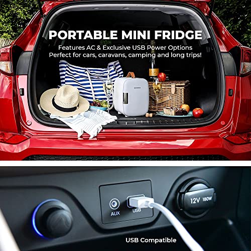 Subcold Pro4 Luxury Mini Fridge Cooler | 4 Litre / 6 Cans | Portable Small Fridge for the Office, Bedroom, Car, Travel, Skincare & Cosmetics (Grey New)