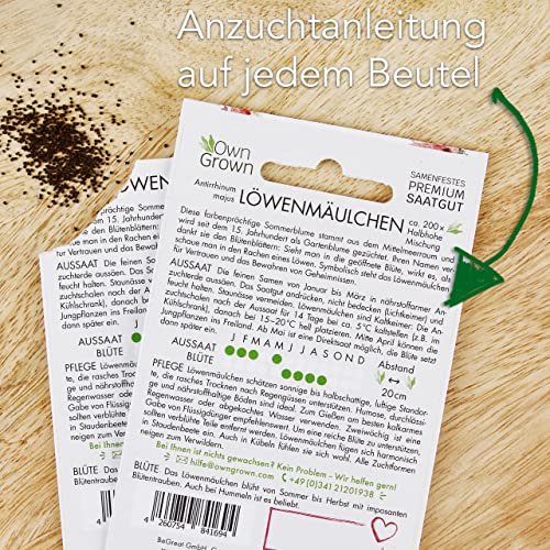 OwnGrown Blumensamen-Set - 8 Historische Blumen Samen Sorten - Mohnsamen, Akelei, Rittersporn, Glockenblumen, Strohblumen, Löwenmäulchen Pflanzenliebhaber und Blumenfreunde