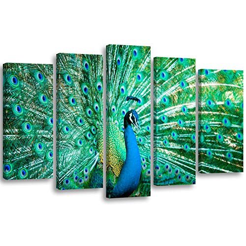 Feeby Bilder XXL 5-Teilig Pfau Typ A 150x100 cm 1 Teilig Wohnzimmer Schlafzimmer Büro Küche Wandbilder Leinwandbilder Modern Bild auf Leinwand Wanddekoration Kunstdruck Design Grün Blau