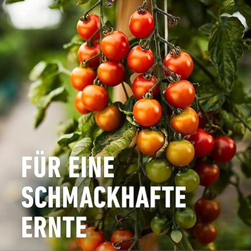 COMPO BIO Obst- und Gemüsedünger – für alle Obst- und Gemüsesorten – natürlicher Spezial-Flüssigdünger – 1 Liter