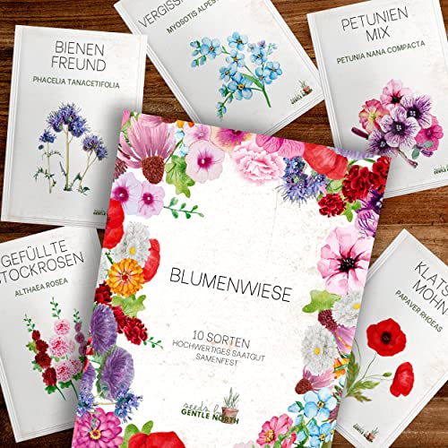 Blumen Samen Set - 10 bunte Blumensamen Sorten für den Garten oder Balkon, die Bienenweide und Wildblumenwiese - Blumenwiese Samen - bunte Wildblumensamen Mischung