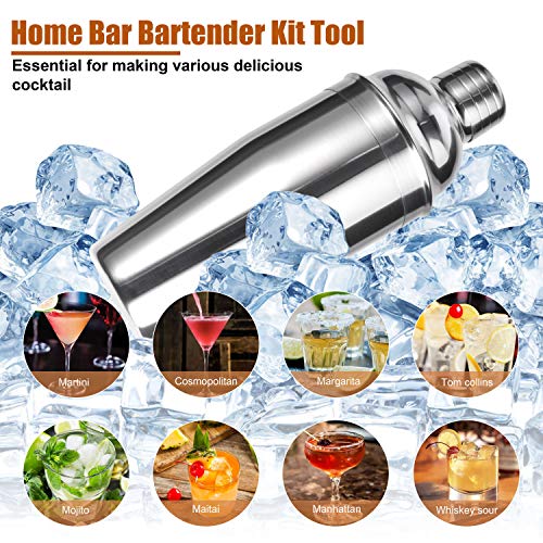 Cocktail Shaker Set,Esmula 750ML 12 Teiliges Edelstahl Barkeeper Kit Geschenk für Männer, Frauen, Freunde, Home Stylish Bar Tool Set mit Cocktail Rezeptheft (Silber)