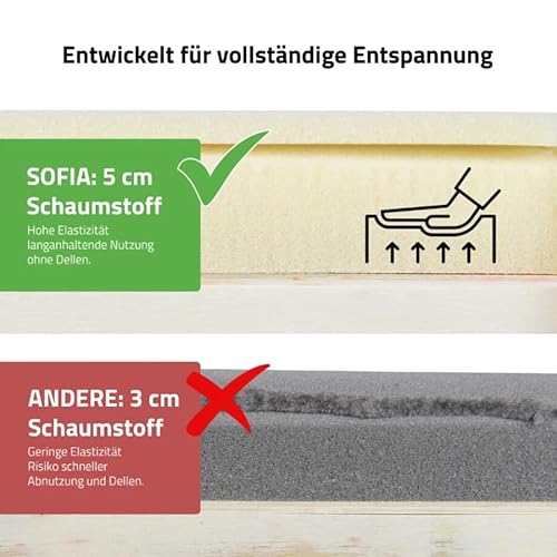HABYS Sofia Light Massageliege | Klappbar Holz 2 Zonen | Massagetisch mit Vollausstattung | 185 x 60 x 85 cm, bis 250 kg | Armlehnen, Kopfstütze, Tragetasche, MDR-Zertifiziert | Beige