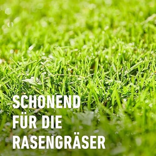 COMPO Rasenunkraut-Vernichter Banvel Quattro, Bekämpfung von schwerbekämpfbaren Unkräutern im Rasen, Konzentrat, 400 ml (400 m²)