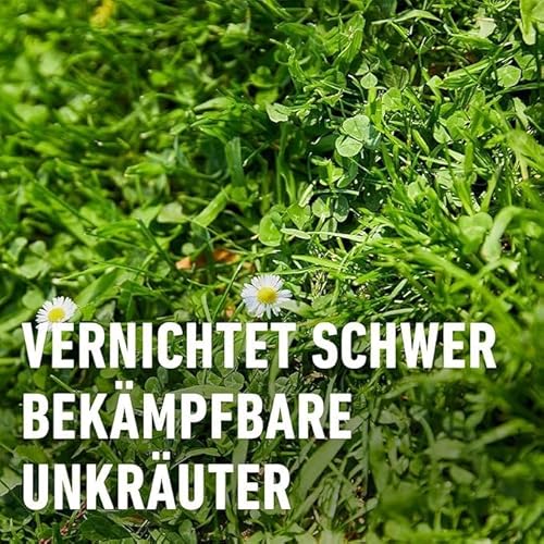COMPO Rasenunkraut-Vernichter Banvel Quattro, Bekämpfung von schwerbekämpfbaren Unkräutern im Rasen, Konzentrat, 400 ml (400 m²)