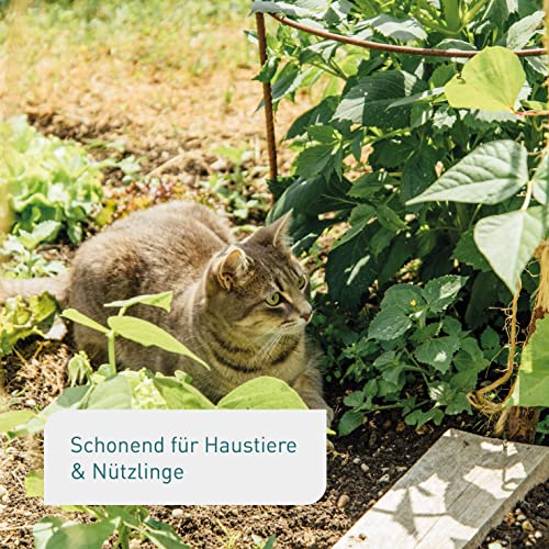 Plantura Bio-Schneckenkorn, regenfester Power-Wirkstoff, hochwirksame Schneckenbekämpfung an Obst Gemüse & Zierpflanzen, schonend für Haustiere, Vorteilspack: 350 g für 500 m²