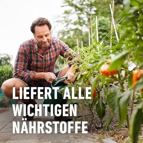 COMPO BIO Obst- und Gemüsedünger – für alle Obst- und Gemüsesorten – natürlicher Spezial-Flüssigdünger – 1 Liter