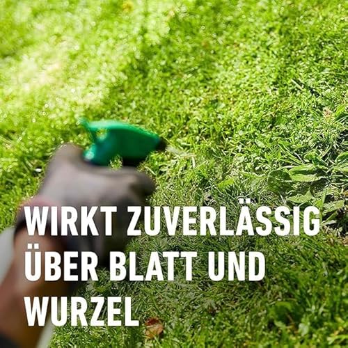 COMPO Rasenunkraut-Vernichter Banvel Quattro, Bekämpfung von schwerbekämpfbaren Unkräutern im Rasen, Konzentrat, 400 ml (400 m²)
