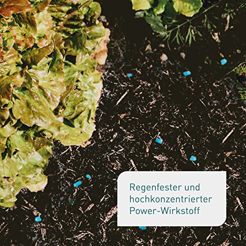 Plantura Bio-Schneckenkorn, regenfester Power-Wirkstoff, hochwirksame Schneckenbekämpfung an Obst Gemüse & Zierpflanzen, schonend für Haustiere, Vorteilspack: 350 g für 500 m²