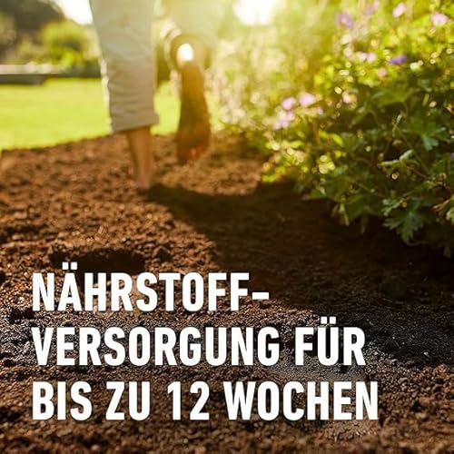 COMPO SANA Qualitäts-Blumenerde mit 12 Wochen Dünger für alle Zimmer-, Balkon- und Gartenpflanzen 10 l